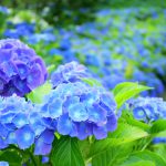 梅雨時は稼ぎどき！？ライブチャットは雨にも強い♪