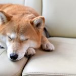 経験者は心配していない、チャットレディが身バレしないこれだけの理由！