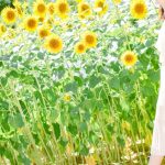 だから稼げる！西新のチャットレディの高収入の秘密！